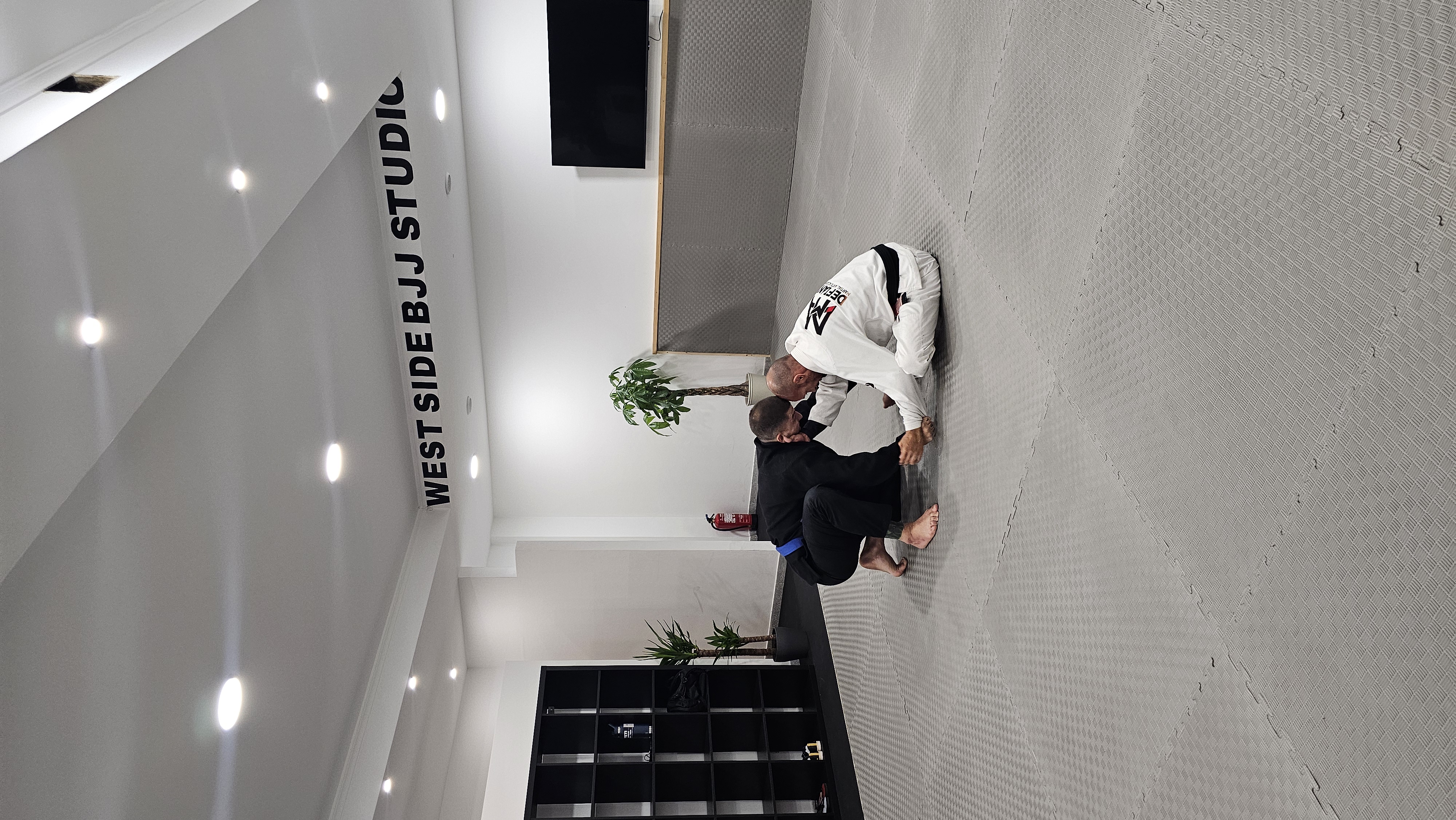 Treino de BJJ